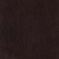 #L3001 Salvador Black Oak