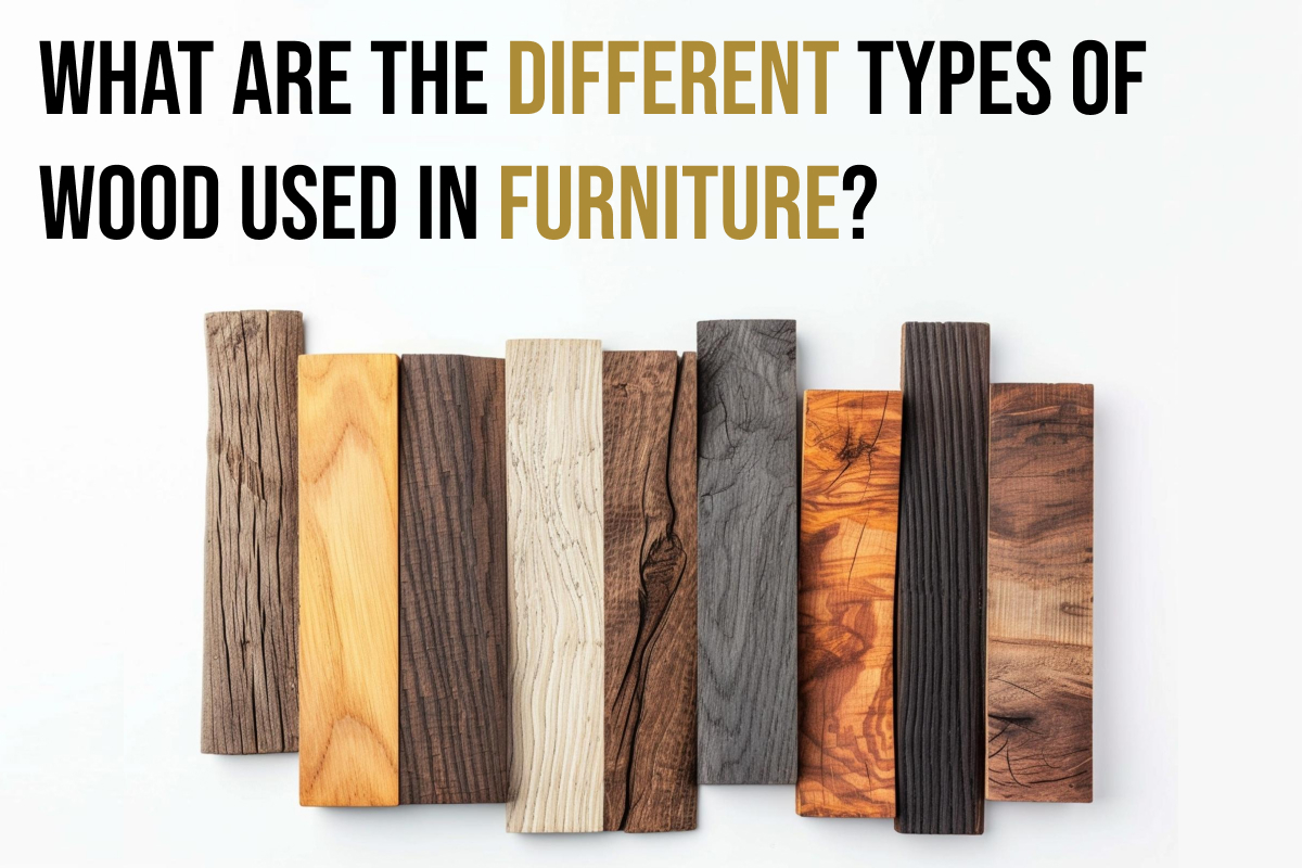 Guide to Different Types of Wood Used in Making Furniture