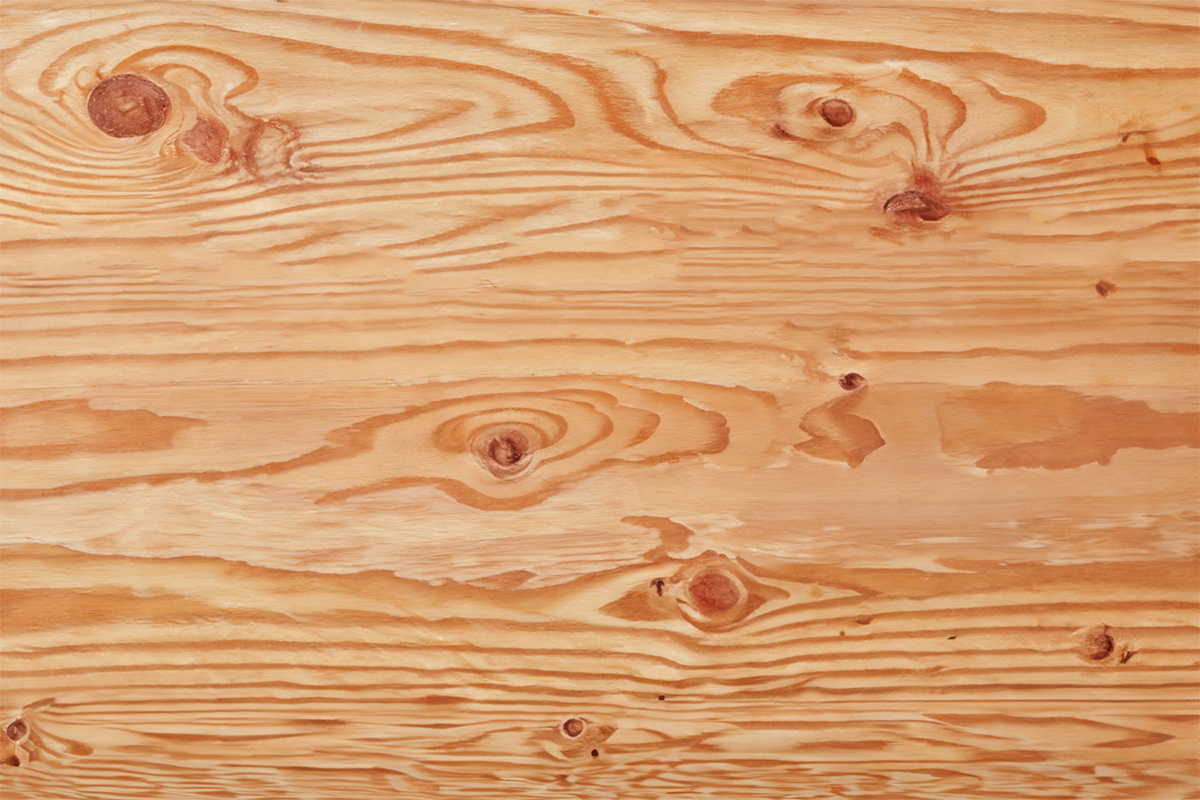 Pine Panel