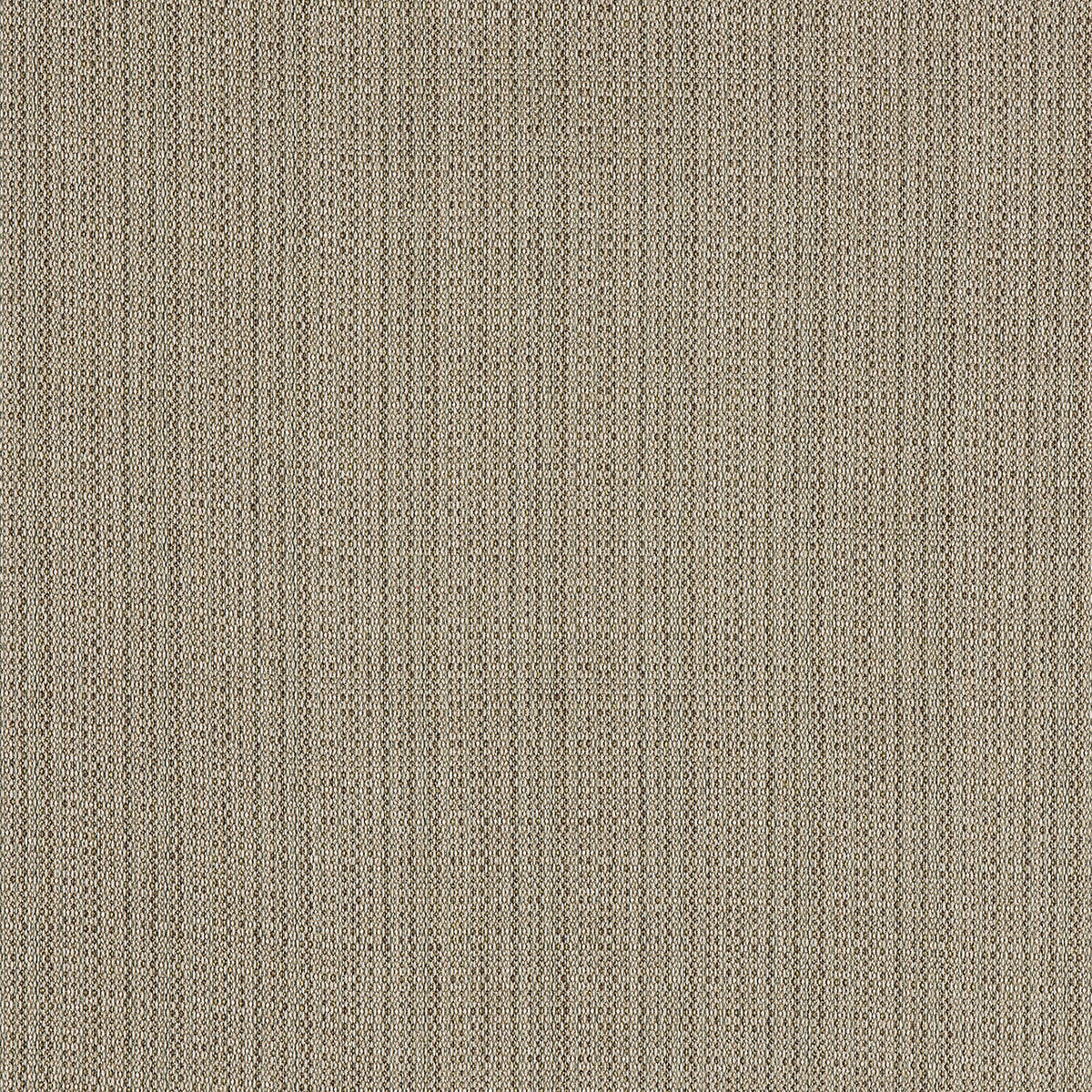 #C8-88 Sisal